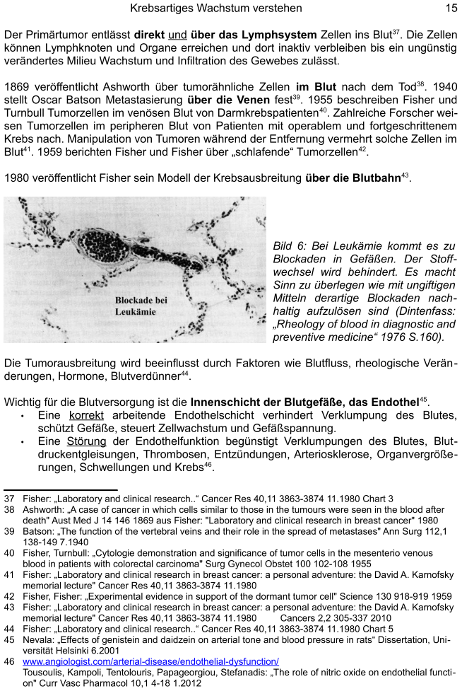 Krebstherapie mit Elektrizitaet